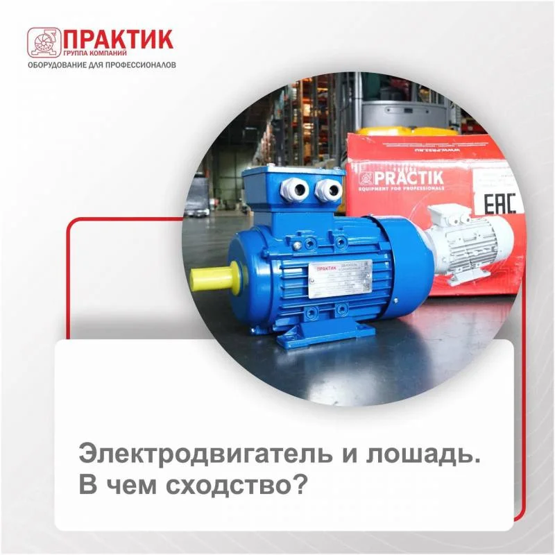 Электродвигатель и лошадь. В чем сходство?